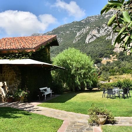 Country House Felicia Giungano ภายนอก รูปภาพ