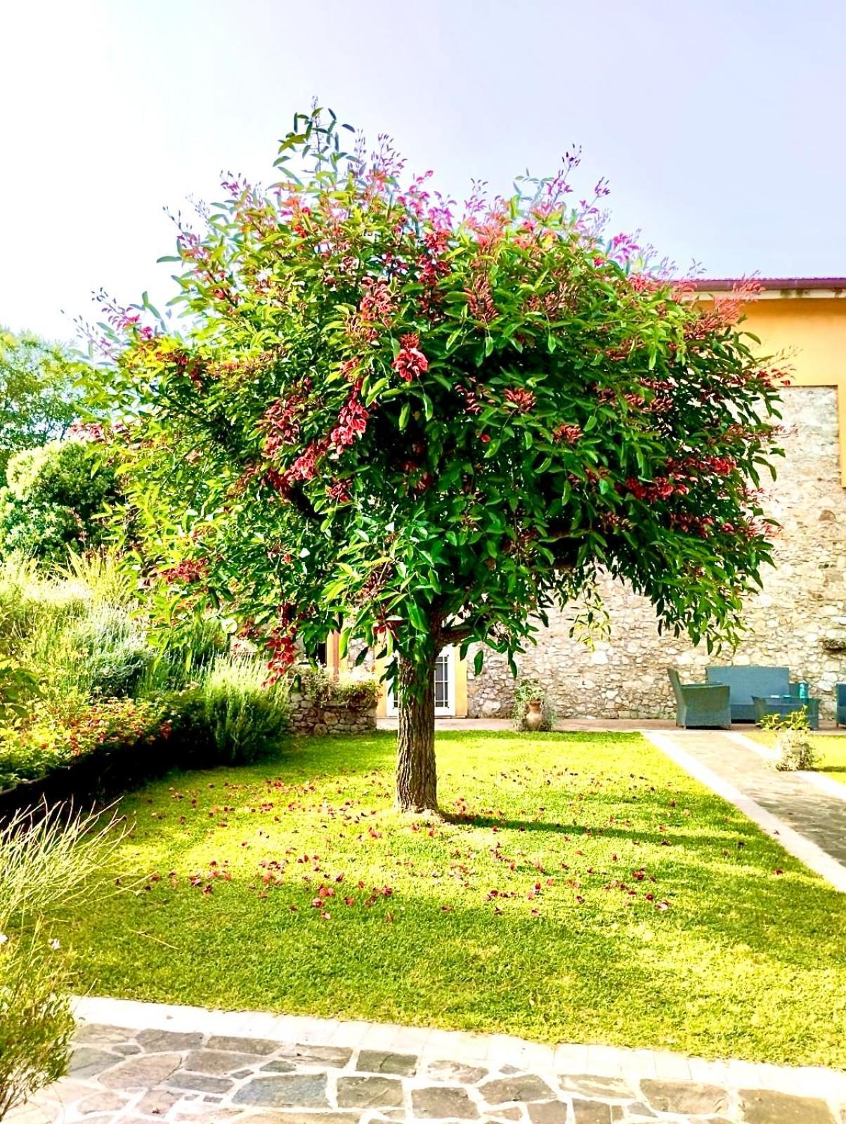 Country House Felicia Giungano ภายนอก รูปภาพ